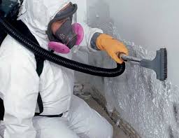 Best Comprehensive Air Testing for Mold Contaminants  in Granite Falls, MN